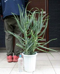 NEWIyiEzy^z@AGEx@8@E53