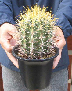 NEW!yiEzT{eEtFJN^XE@T{etFJN^X@4.5@HW