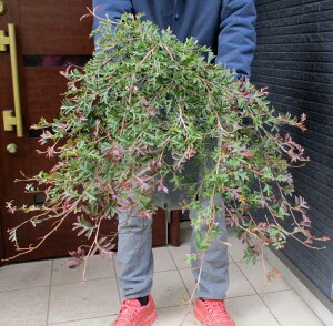 yiEzOrA@KEfB`EfB@8@2ԁ@I[W[vc@lCeBuvc KEfB`EfB OrA W@KEfB`EfB