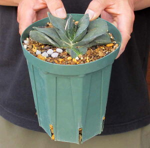 yiEzKXeAEiKXeAELEEj5@T3