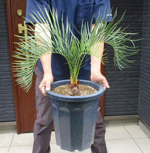 NEW!yiEz}NU~AE[C@10@M6