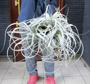 yiEzyzNv@Q@LZOtBJ@`WA@eBWA@GA[vc@2R