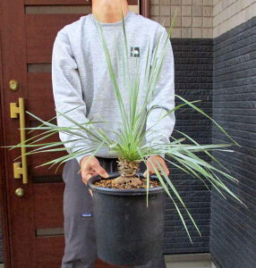 yiEzyz@bJ@Xg[^@8@r5ԁyϗtAzbNK[f@hCK[f