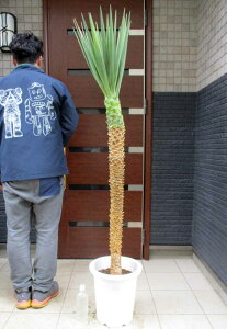 ēׁ@CpNgIyiEznInAł܂IbJEACtHA@10@W4