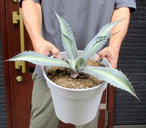 yiEzAKxEAJ[iEGNXpTEfBIsN^Ep[_@ip_j8@D3