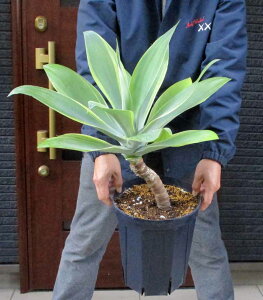 yiEzAKx@Aei[^ց@Aei[^iAekA[^jitNj8@G8