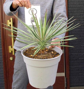 yiEzbJEACtHAEIIbJEACtHAEoGK^@nInAł܂I@@8@12