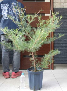 yiEzOrAEi}[@OrAEi}[@8@7