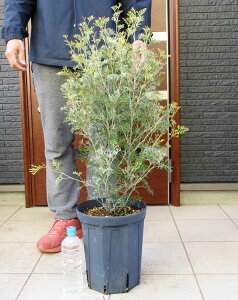 yiEzOrA EN[pbV@@OrAEN[pbV@OBAEN[pbV@OrAEN[pbV@8 @5