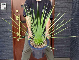 yiEzAKxEXgN^@iӂj10@G8