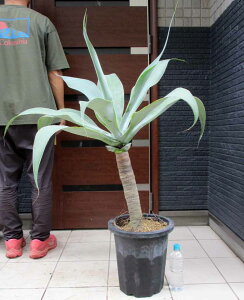 yiEzAKxEAei[^ {[`u[ 10@R5