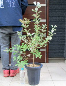 yiEz劔@R[XgoNVA@ioNVAECeOtHAj@8@B