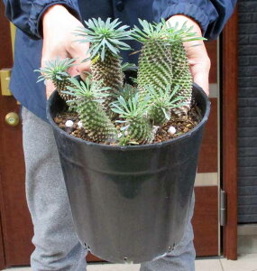 yiEzQ@pCibvR[ hSi \ecL [tHrA ϗtA A T{e@7@2