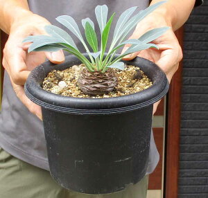 @lC@[tHrA Sbہ@iĂ܂jiebRE}j5@W3