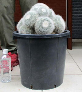 ^yzQ@T{eE~A ^}ILi@܂ȁiʉjuڂڂĂv12@4