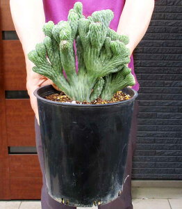 yiEz_ؒԉ (EW{N@ebJjԉT{e@7@M7