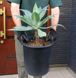 yiEz AKx@Aei[^@Aei[^iAekA[^j @8@GK