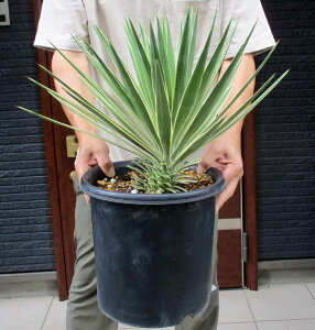 ^ɂēwł܂@yiEzbJEACtHAEIIbJEACtHAEoGK^@8@K2ԁ@bNK[f@hCK[fɂ