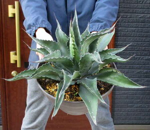 yiEzytFbNX@̔zAKx@T~AiEtFbNX h[KEJz[h@10@5ԁiKEJz[jhCK[f@bNK[f