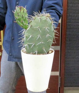 yzyiEz@hIv`A@Iv`A@n@ۖ~iE`T{ejiII}{7j5@8Bԁ@bNK[f@hCK[f