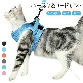 猫 猫用 ハーネス リード 胴輪 犬猫兼用 ねこ ネコ キャット 小型犬 中型犬 ソフト胸あて リード付き 抜けない ソフトハーネス 超軽量