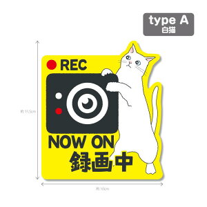 yLV[Y2iFwijzhR@hCuR[_[XebJ[ V[ 1 hRV[ hRXebJ[ h~ ^] ̖h~ h ZLeB J[TC 