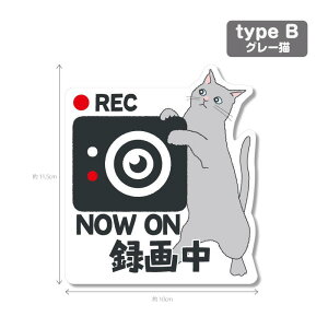 yLV[Y2iFwijzhR@hCuR[_[XebJ[ V[ 1 hRV[ hRXebJ[ h~ ^] ̖h~ h ZLeB J[TC 