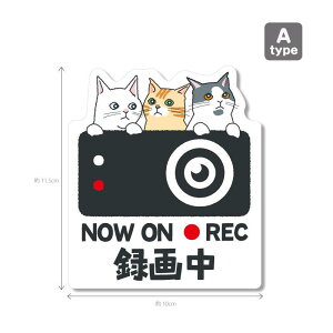 yLV[Y3iFwijzhR@hCuR[_[XebJ[ V[ 1 hRV[ hRXebJ[ h~ ^] ̖h~ h ZLeB J[TC 