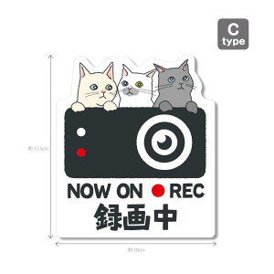 yLV[Y3iFwijzhR@hCuR[_[XebJ[ V[ 1 hRV[ hRXebJ[ h~ ^] ̖h~ h ZLeB J[TC 