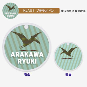名入れ デザイン選べる 恐竜影絵柄 キーホルダー キッズ 子供 かわいい プレゼント 日本製 入園祝い 入学祝い プレゼント 保育園 幼稚園 新学期 名前 ギフト 出産祝い 卒園 記念 クリスマス
