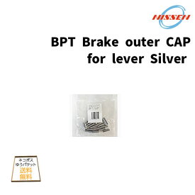 日泉ケーブル BPT Brake outer CAP for lever Silver ブレーキアウター キャップ 自転車 ゆうパケット/ネコポス送料無料
