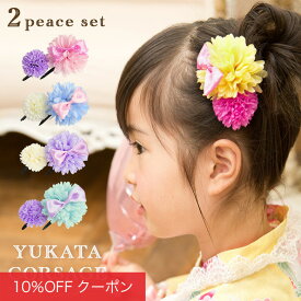 【10%OFFクーポン！ファッションザセール】浴衣 髪飾り 子供 2個セット 女の子 子ども コサージュ ヘアクリップ 浴衣 浴衣ドレス 子供髪飾り キッズ アクセサリー ヘアアクセサリー 小花 arisana