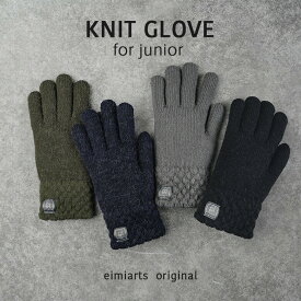 【10%OFFクーポン！お買い物マラソン】【ふんわり裏起毛】キッズ 手袋 男の子 子供 シンプル 定番 [ グローブ 手ぶくろ 子ども 5本指 防寒 裏起毛 メール便可]