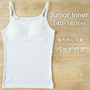 y10%OFFN[|I}\zLbY L~\[ Jbvt ̎q K[Y Ci[ WjA XN[ L~   q 100% Vv  zCg 140 150 160 cm GUNZE O