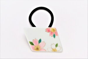 yyXV[Y@sN@wAS(H^)zLc IWi wAANZT[ wAS Mtg v[g