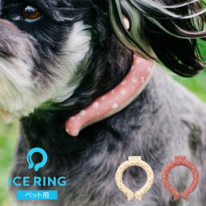 �y�݌ɏ����z�ysale�z�A�C�X�����O �l�b�N�N�[���[ SUO �yF�EO�E�C���^�[�i�V���i���zICE RING(R)_�y�b�g_XS_SS �L�b�Y FO �N�[�������O �l�b�N�����O �l�b�N�o���h �y�b�g �G�t�I�[ FO a3y4042