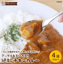 【エントリー必須※お買いものパンダカレー皿CP対象商品】送料無料 ＿アップル&スパイス！絶妙チキンカレー＿（4袋入）　 お試しセット カレー 即席 調理 簡単 レトルトカレー スパイスカレー スパイス レトルト カレーライス 4袋入り 国産 野菜 時短 おうち時間 チキン