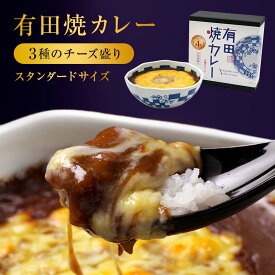 三種のチーズ盛り有田焼カレー（大） チーズカレー スパイスカレー 佐賀牛 プレゼント 誕生日 ギフト 大人気 駅弁 お取り寄せ 贈り物 有田焼 ゴルゴンゾーラ 母の日 お返し