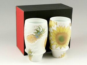 Lc ̑ r pCibvEЂ܂ yAv~ArAOX