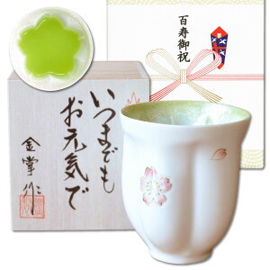 Sj 100 S j v[g ̉Ԃт`ɂȂ ۂ Lc  O[ bZ[WJ[ht ̖ؔ