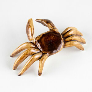 Jj u 킢u  CeA  Lc { Ɂij