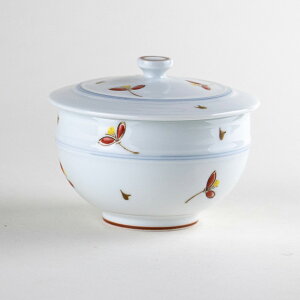 o Wt ۂ Lc qp  { ˑ o