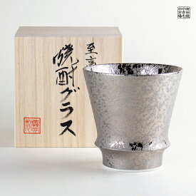 焼酎グラス 焼酎カップ 陶器 ギフト 有田焼 波佐見焼 感謝を込めて贈る特別なプレゼント 専用木箱付き 銀彩