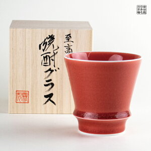 ĒOX ĒJbv  Mtg Lc g ӂ߂đʂȃv[g pؔt 