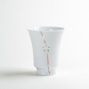 ۂ Lc {  aH Mtg v[g i  ̂ a_ ԂсiԁjԂȂۂł