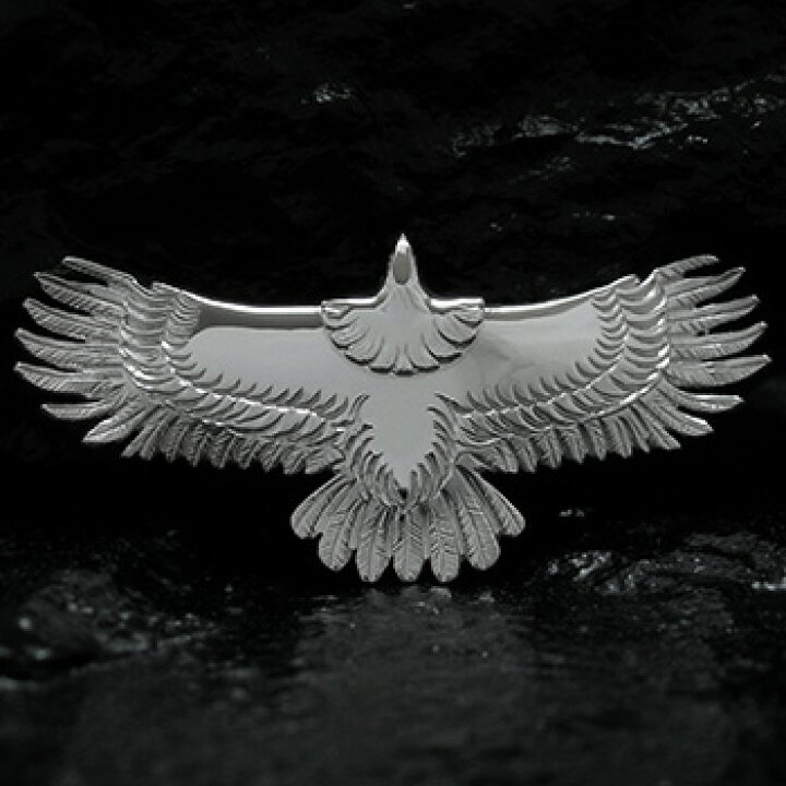 楽天市場】T-120e（中allSV） : ARIZONA FREEDOM