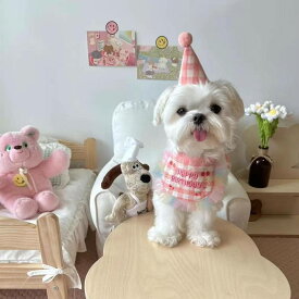 犬 誕生日 グッズ セット バースデー 帽子 スタイ ペット 小型犬 中型犬 猫 お誕生日会 飾り パーティー 愛犬 イベント 首 巻く happybirthday 可愛い