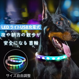 首輪 犬 おしゃれ 光る首輪 LED ライト USB充電式 小型犬 中型犬 大型犬 夜 散歩 安全 サイズ調整