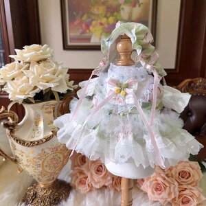 THE MONSTERS Exciting Macaron ʂݗp LABUBU uu }Jm/Y{/C/lN^C/Xq/X[c ʂ  17cm15cm ʂ Zbg38cm mokoko58cmzimomo