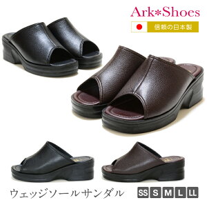 yM̓{zyzEFbW\[T_ ItBXT_ ~[ r 6.0cm y SSLL܂ŖLxȃTCY  fB[X Vv ₷ x_[ nCq[ 